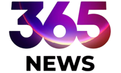 365 News
